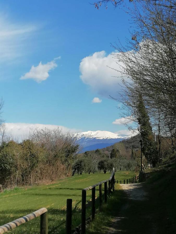 Garda Best Living Lejlighed Desenzano del Garda Eksteriør billede